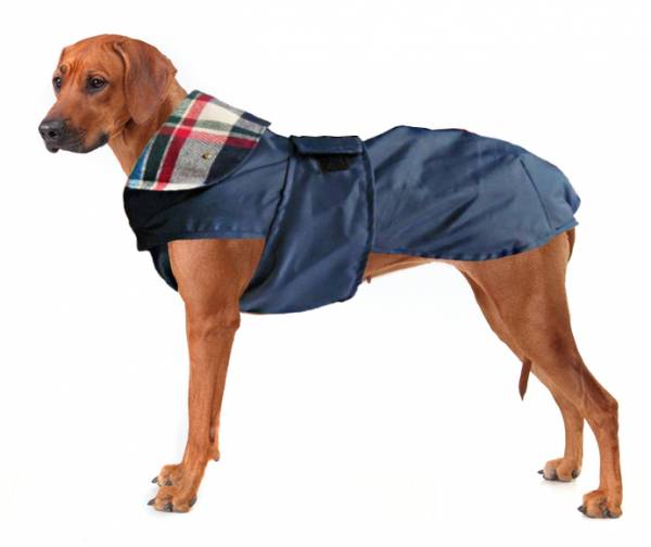 Дощовик для собаки,   коли на вулиці не затишно