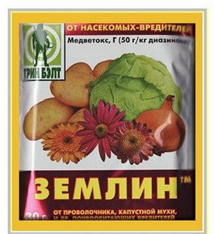 Як боротися з дротяником на садовій ділянці?