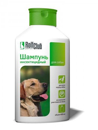 Домашні блохи і як від них позбавитися