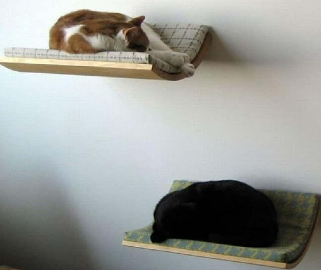 Ідеї для котячих будиночків   Оригінальні ідеї котячого будинку