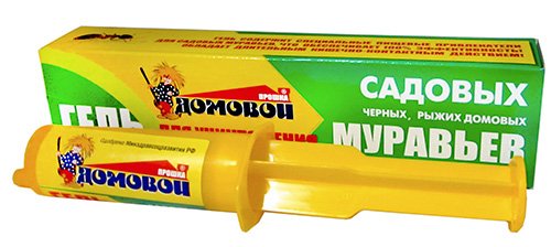 Знищення домашніх мурашок в квартирі Знищення домашніх мурашок в квартирі