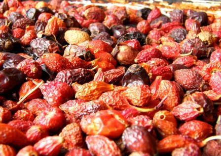 Сушка домашнього шипшини