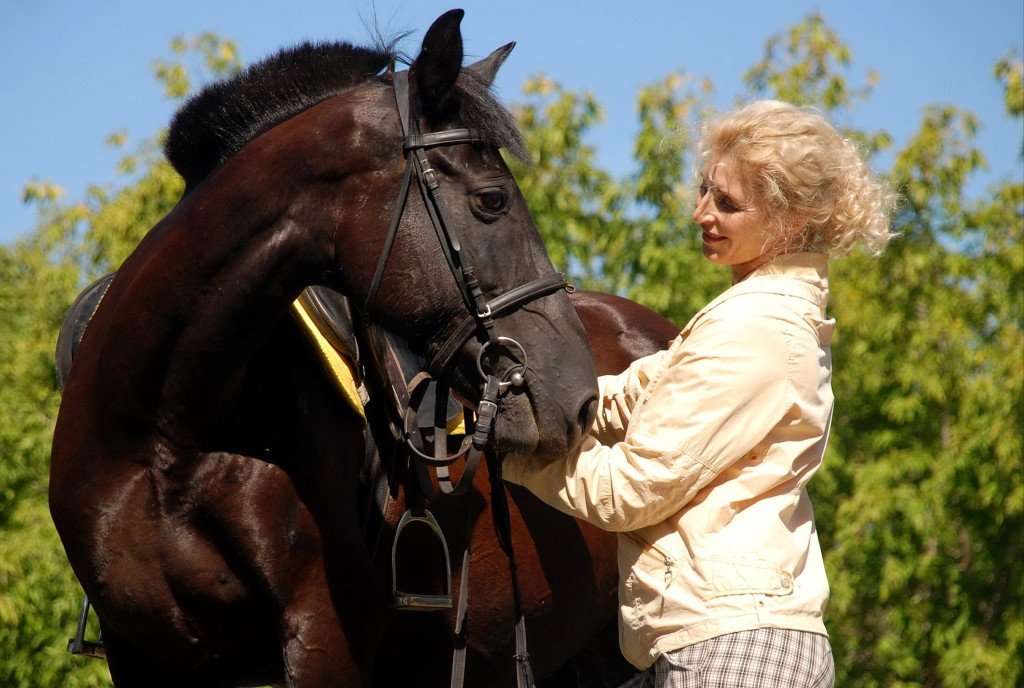 Самі цікаві і неймовірні факти про конях