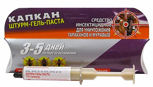 Як вивести домашніх мурашок з квартири