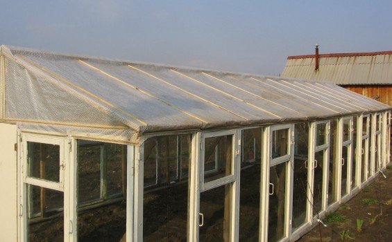 Теплиця з рам своїми руками: поради і тонкощі Теплиця з рам своїми руками: поради і тонкощі