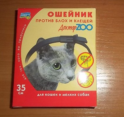 Нашийники від бліх для кішок і кошенят: принцип дії, ціна та відгуки