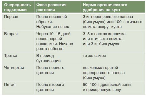 Як здійснюється осіння і весняна підгодівля троянд?