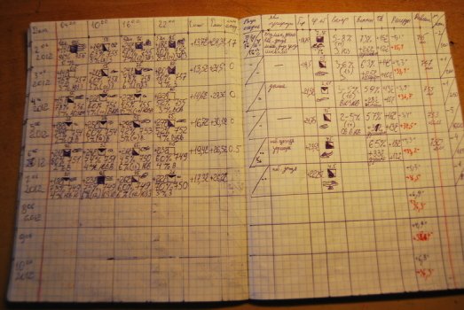 Як розбити кімнатний город своїми руками? Як розбити кімнатний город своїми руками?