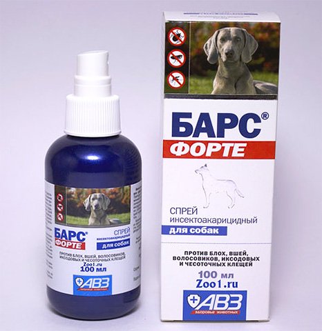 Засоби від бліх для собак і цуценят: вибираємо ефективний препарат