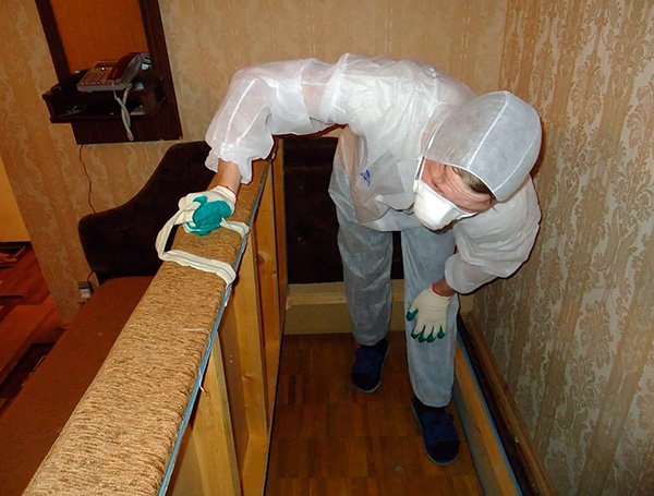 Дезінсекція від тарганів: куди звернутися за обробкою приміщення Дезінсекція від тарганів: куди звернутися за обробкою приміщення