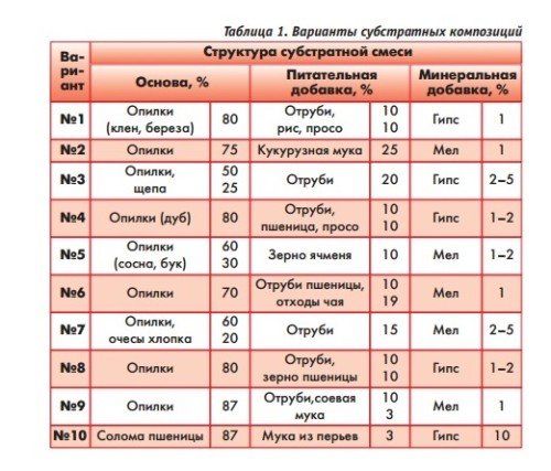 Вирощування шіїтаке: технологія та догляд за грибами