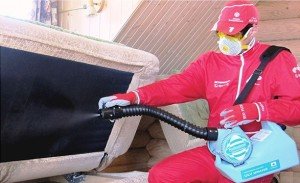 Як вивести постільних клопів з будинку самостійно, скільки коштує вивести клопів службами: відео, фото, відгуки