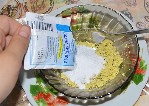 Знищення клопів і тарганів у квартирі: боремося з комахами правильно