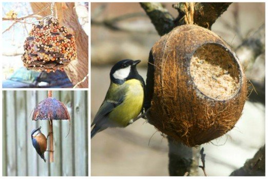 Оригінальні годівниці для птахів своїми руками Оригінальні годівниці для птахів своїми руками