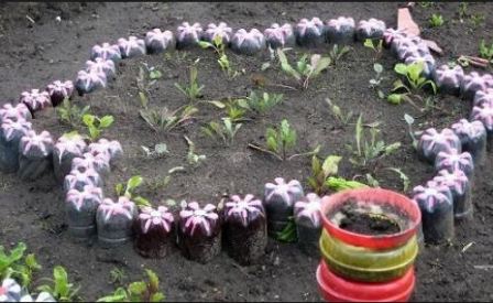 Клумба из пластика своими руками Клумба из пластика своими руками