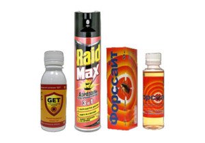 Народні засоби від постільних клопів у квартирі: як застосовувати, методи знищення: відгуки