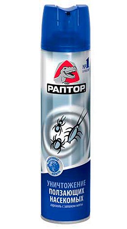 Знищення домашніх мурашок в квартирі Знищення домашніх мурашок в квартирі