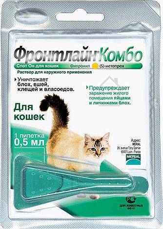 Блохи у кота: що робити?