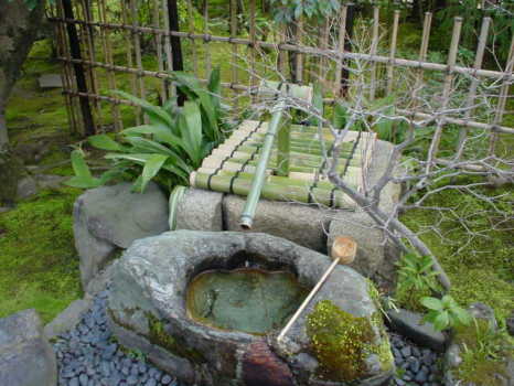 Як самостійно зробити японський сад на заміській ділянці?