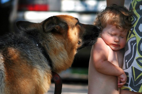 Дитина боїться собак: розбираємо всі можливі причини