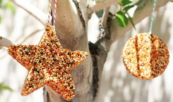 Як самостійно зробити годівницю для птахів Як самостійно зробити годівницю для птахів