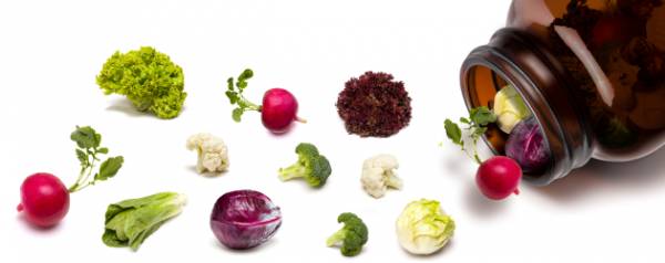 Вітаміни для собак   все що потрібно про них знати