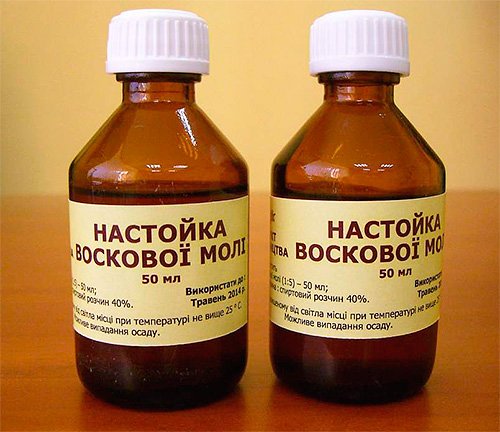 Воскова міль і лікування з її допомогою, а також відгуки