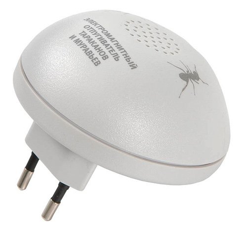 Знищення домашніх мурашок в квартирі Знищення домашніх мурашок в квартирі