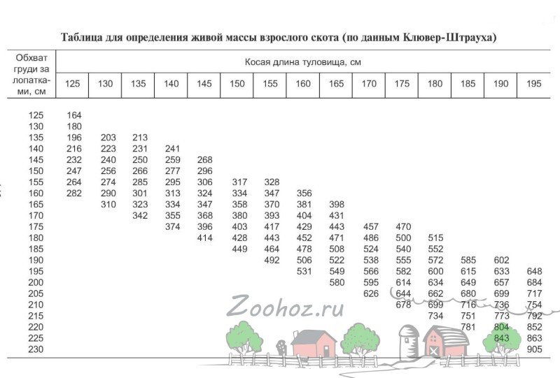 Схема замера веса крс