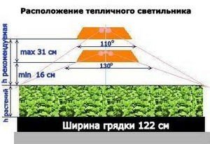 Як зробити фитолампы для рослин своїми руками?