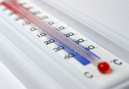 Знищення клопів у квартирі: ефективні методи та засоби