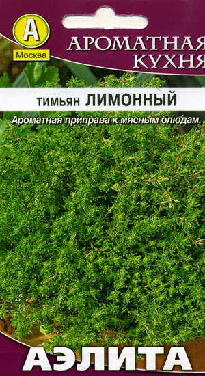 Вирощування чебрецю з насіння на розсаду в домашніх умовах (фото сортів)