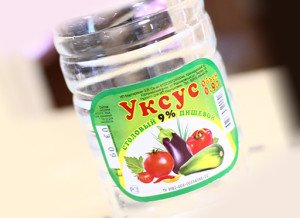 Народні засоби від постільних клопів у квартирі: як застосовувати, методи знищення: відгуки