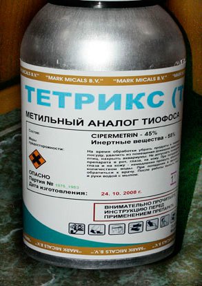 Як вивести моль на кухні