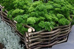 Бордюри для клумб своїми руками з пластикових пляшок, дерева та цегли