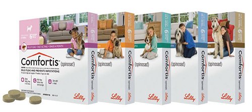Таблетки від бліх Комфортис та інструкція по їх застосуванню