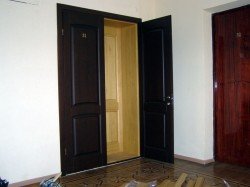 Друга вхідні двері в квартиру або будинок: особливості застосування металевих і деревяних дверей