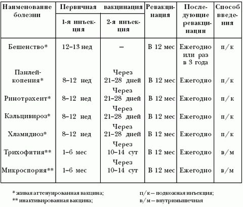 Докладний графік щеплень кішкам   в якому віці які щеплення робити