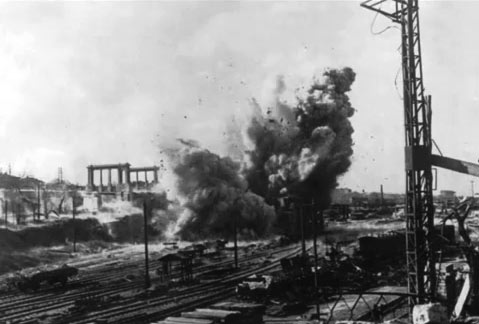 Собаки під час Великої вітчизняної війни: чотирилапі герої перемоги