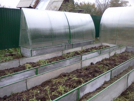 Створення теплиці з полікарбонату своїми руками з нуля Створення теплиці з полікарбонату своїми руками з нуля