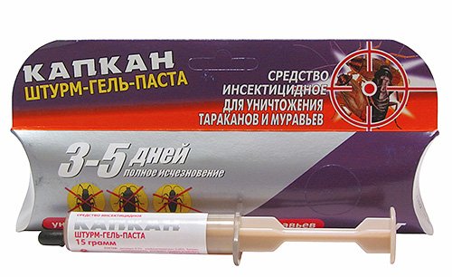 Чим труїти тарганів у квартирі: вибираємо правильний засіб