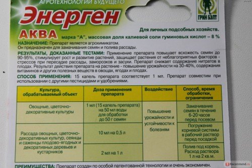 Як посадити моркву щоб швидко зійшла