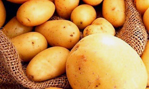 Картопля імпала: опис сорту, характеристика