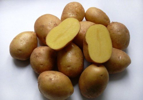 Картопля імпала: опис сорту, характеристика