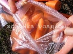 Як зберігати моркву всю зиму.