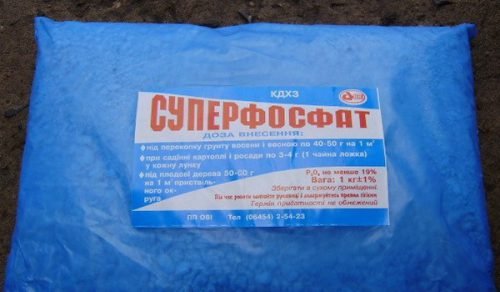 Вирощування перцю у відкритому грунті: правильний догляд
