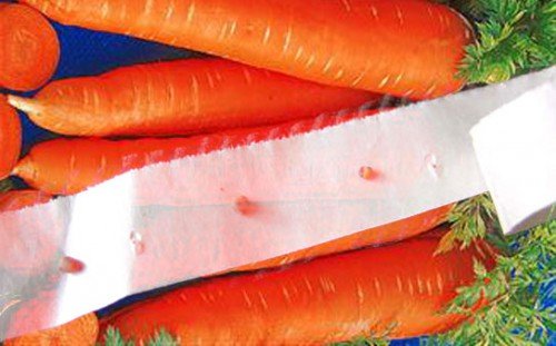 Посадка моркви на туалетний папір: як наклеїти насіння