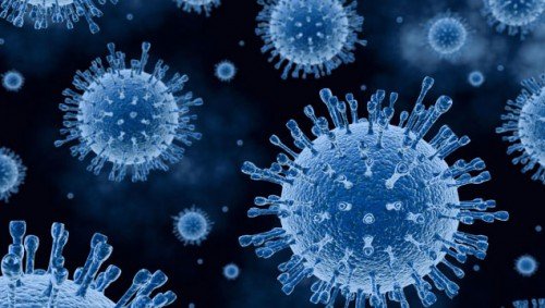 Інфекція телят: короновирусная, аденовірусна, інфекційні хвороби врх