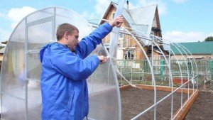 Теплиця Кремлівська «Моноліт» — монтаж парника з полікарбонату своїми руками