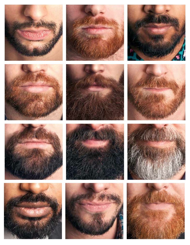 Як вибрати форму бороди: практичні поради до вибору, види борід
